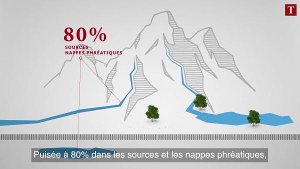 Pourquoi boit-on toujours de l'eau en bouteille? - référence animation Pixinside