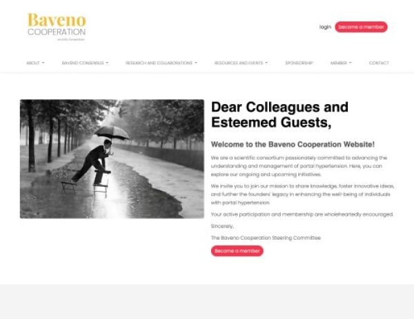 Baveno Cooperation - rÃ©fÃ©rence web Pixinside